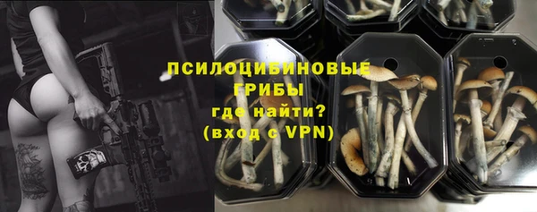 герыч Осинники