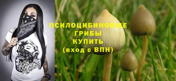 круглые Переславль-Залесский