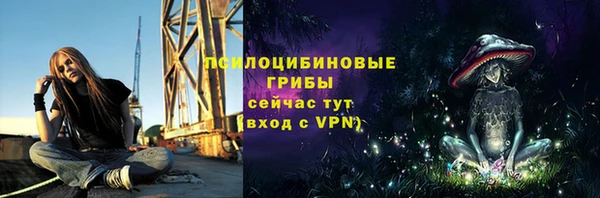 ешки Пересвет