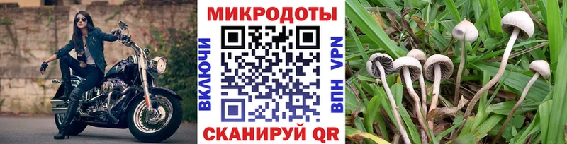 Купить закладки  Судогда  Галлюциногенные грибы мицелий 